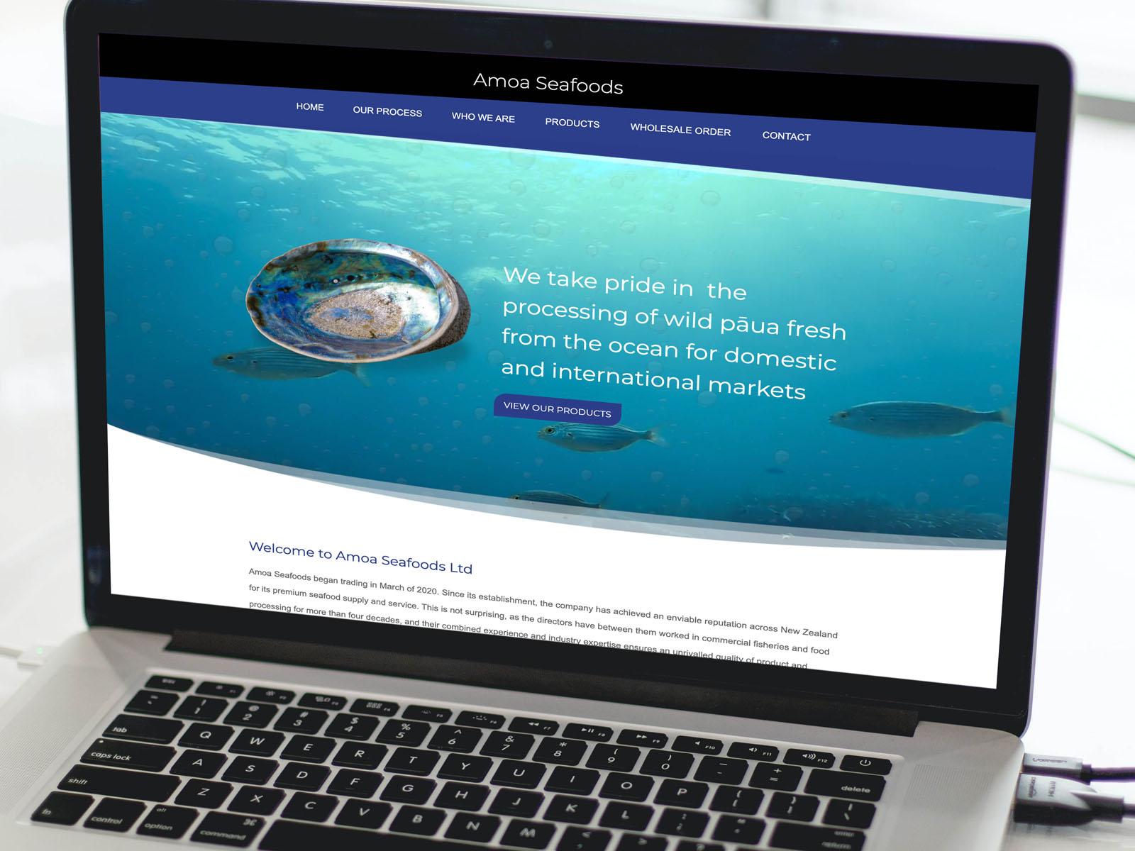 Amoa Seafoods website