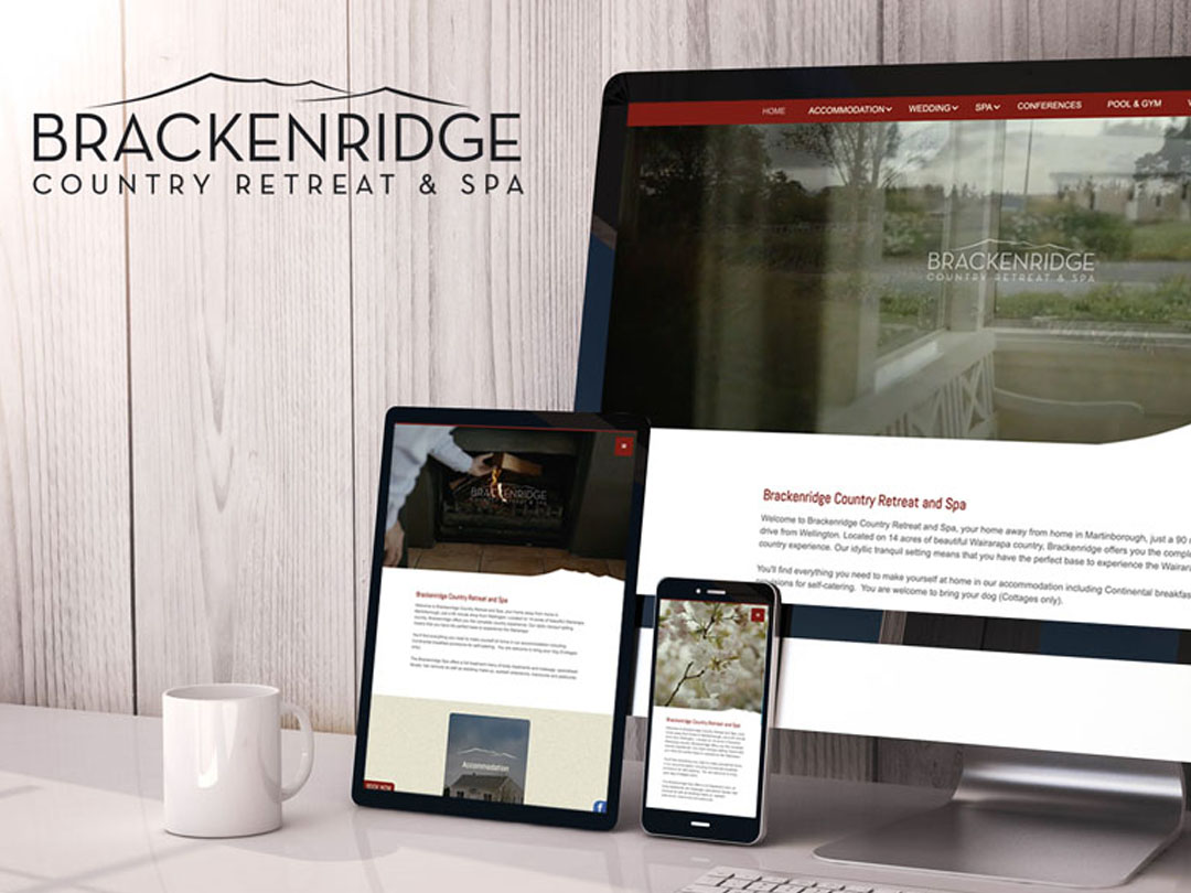 Brackenridge Website